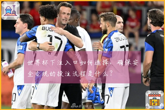 世界杯下注入口如何选择，确保安全合规的投注流程是什么？
