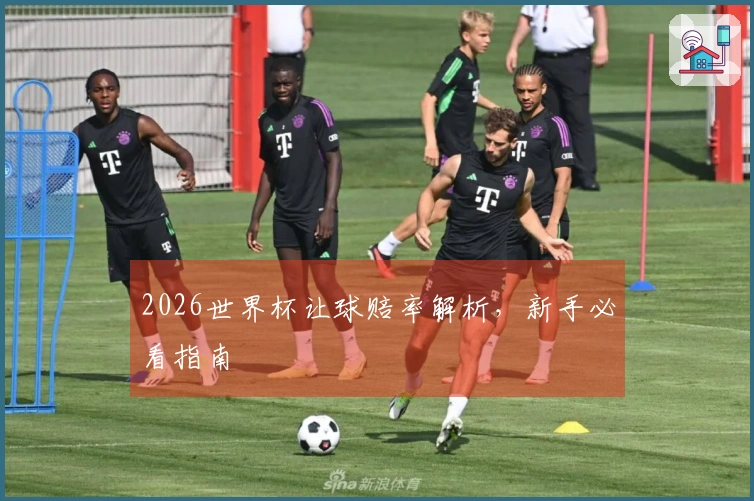 2026世界杯让球赔率解析，新手必看指南
