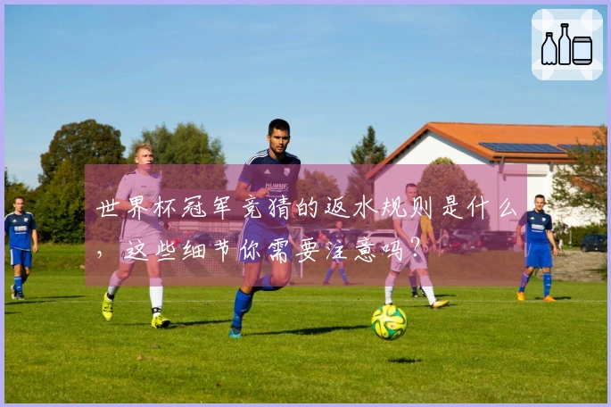 世界杯冠军竞猜的返水规则是什么，这些细节你需要注意吗？