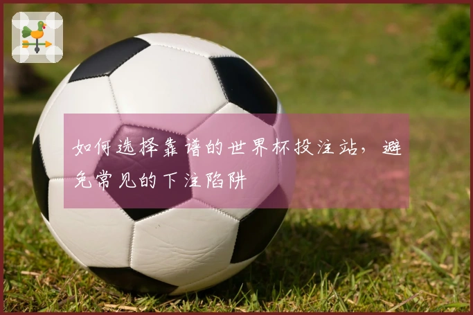 如何选择靠谱的世界杯投注站，避免常见的下注陷阱