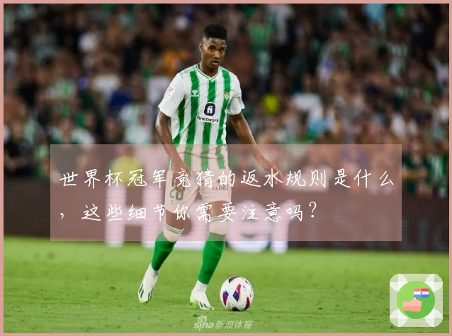 世界杯冠军竞猜的返水规则是什么，这些细节你需要注意吗？