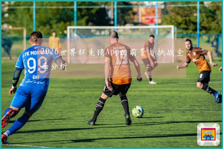 2026世界杯竞猜App的前景与挑战全面分析