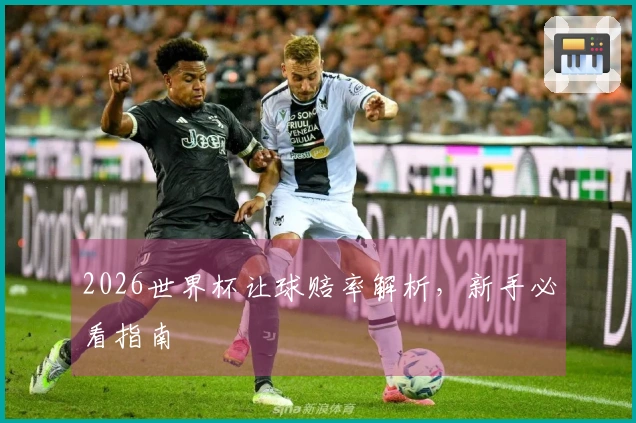 2026世界杯让球赔率解析，新手必看指南