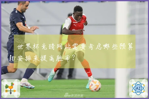 世界杯竞猜网站需要考虑哪些预算安排来提高胜率？