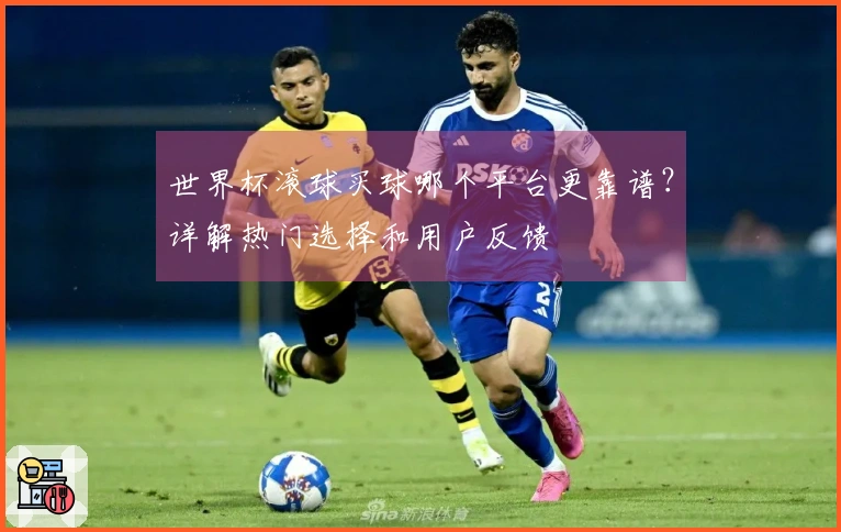 世界杯滚球买球哪个平台更靠谱？详解热门选择和用户反馈